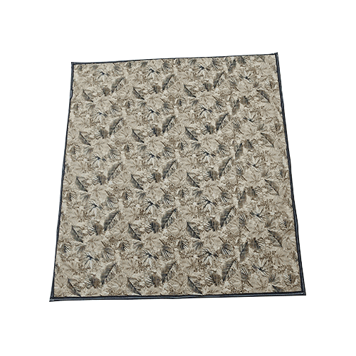 ��ǰ�̹���